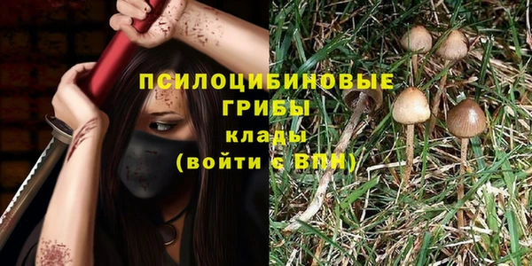 герыч Алексин