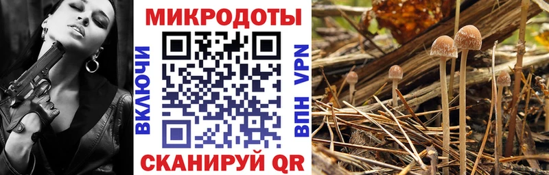 Псилоцибиновые грибы MAGIC MUSHROOMS  площадка как зайти  Йошкар-Ола 