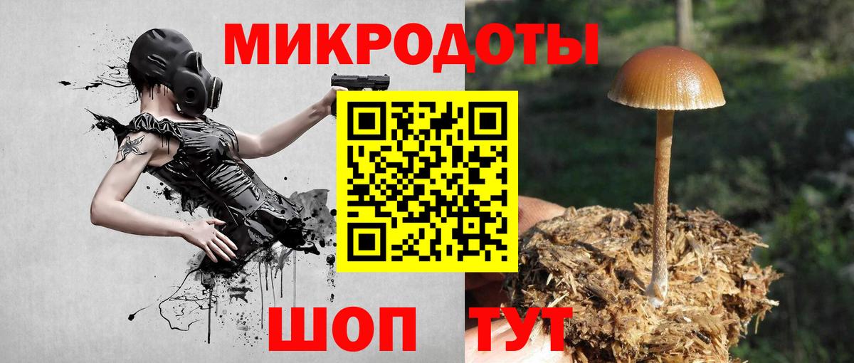 Псилоцибиновые грибы Cubensis  где найти   Йошкар-Ола  Галлюциногенные грибы Cubensis  Вход с VPN 