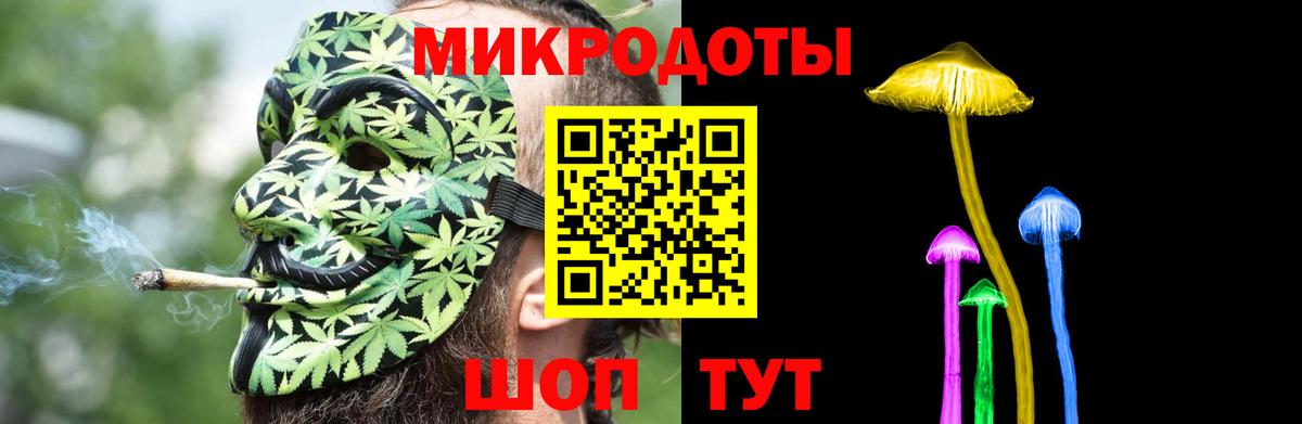 Псилоцибиновые грибы мицелий Йошкар-Ола
